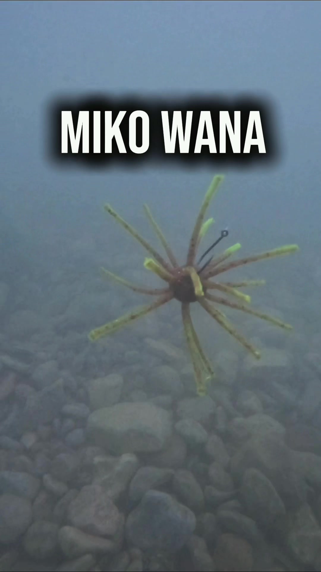 @Miko Lures LLC
