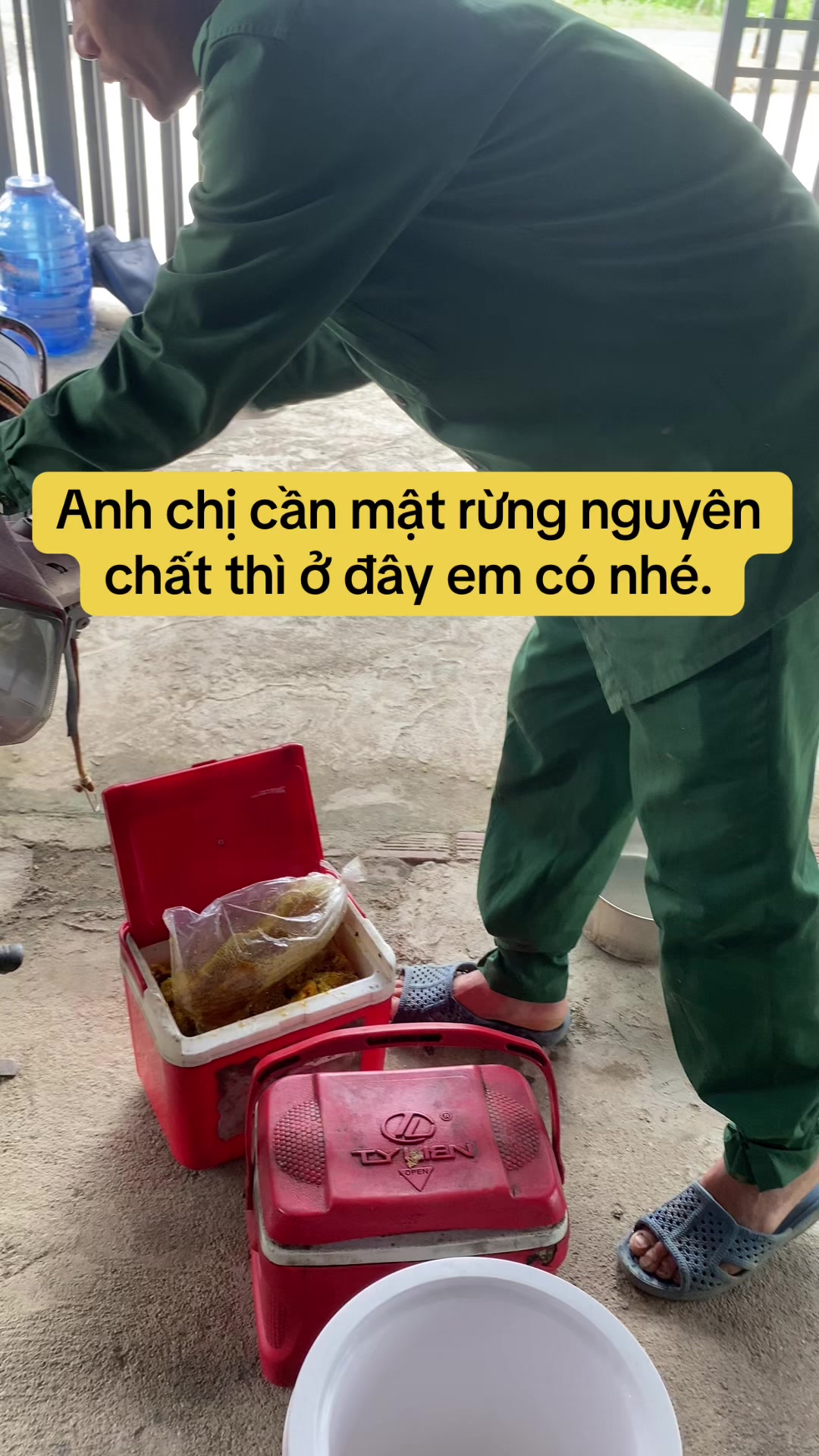 @Mật rừng TH&Agrave;NH ĐẠT