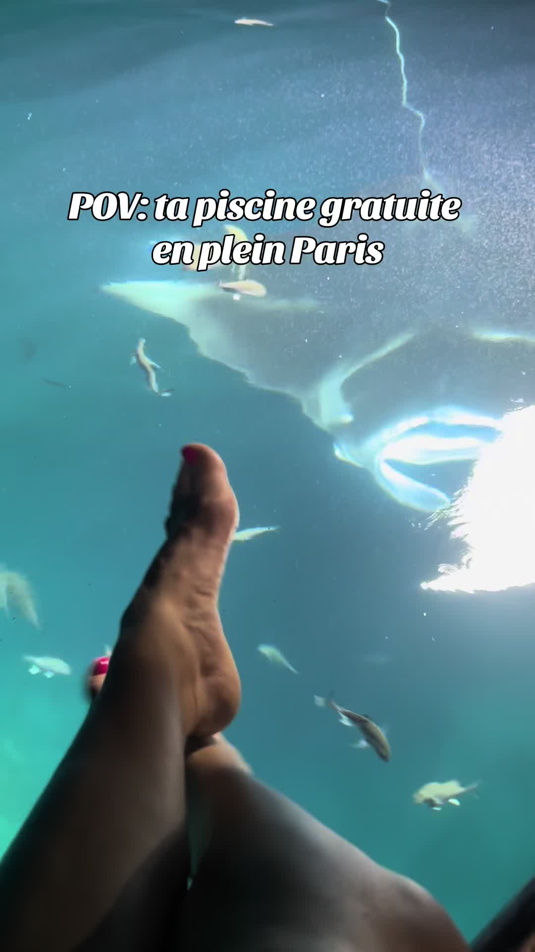 @kattapulta