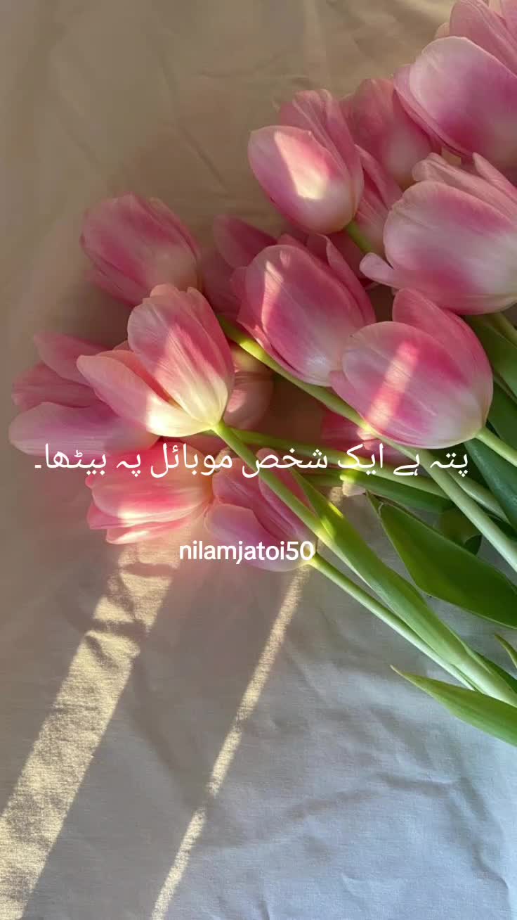@🌸Islamic_Reminders🌸