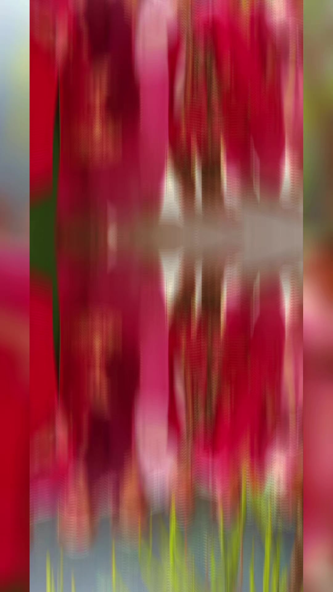 @कमला खड्का