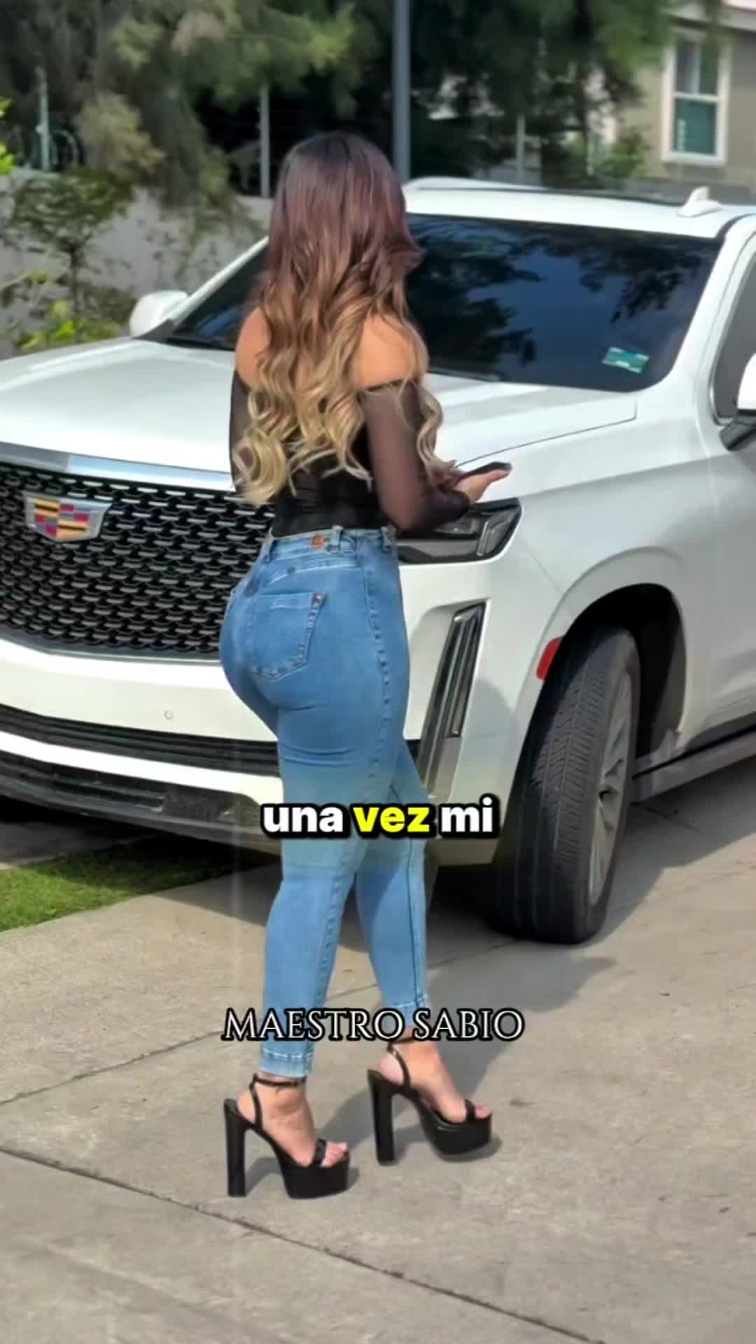 @Maestro Sabio