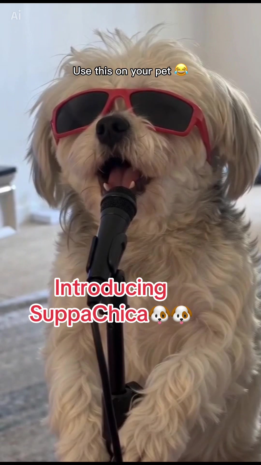 @Suppakat