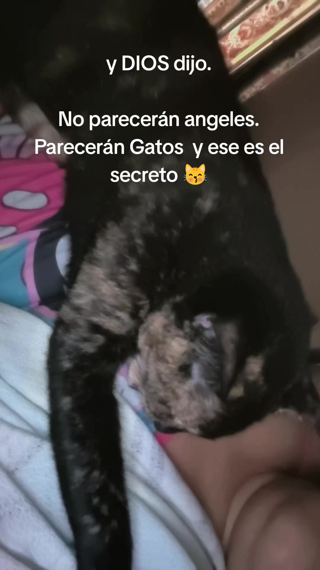 @Yulizita Reyes