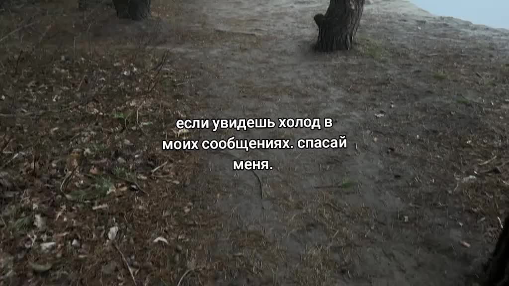 @стояк олега