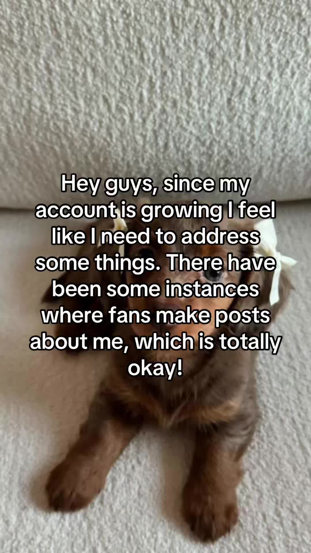 @gatitaaa.pup_