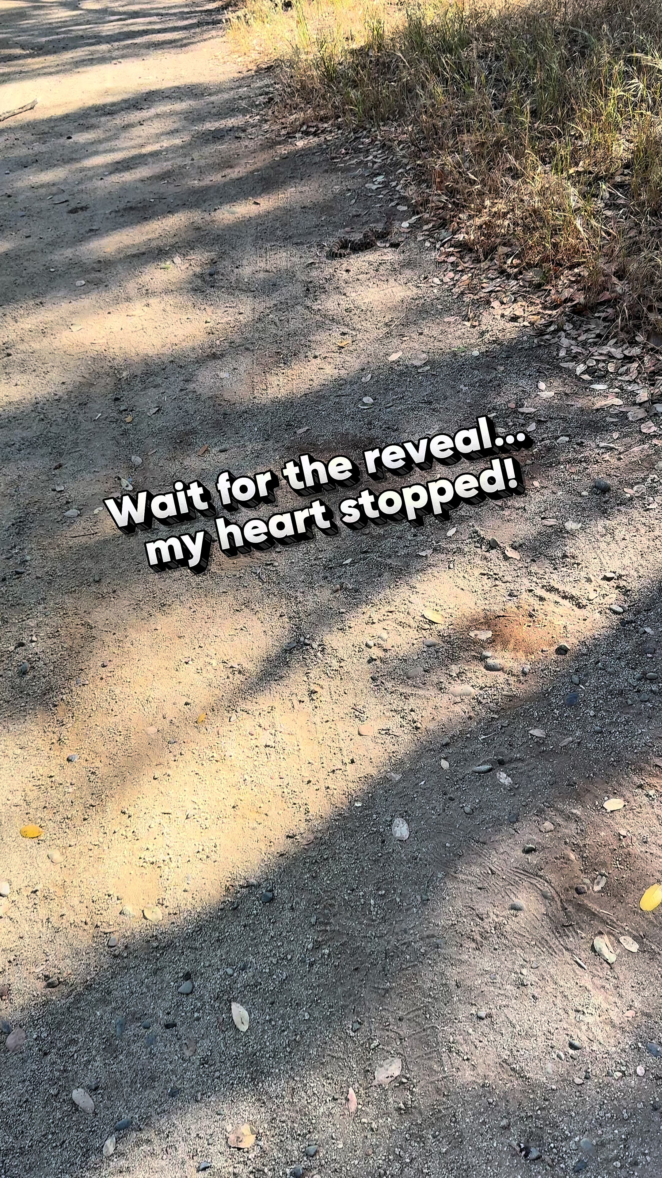 @iranruf24