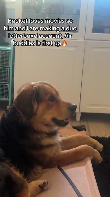 @tw1stedw1ckedvalent1ne