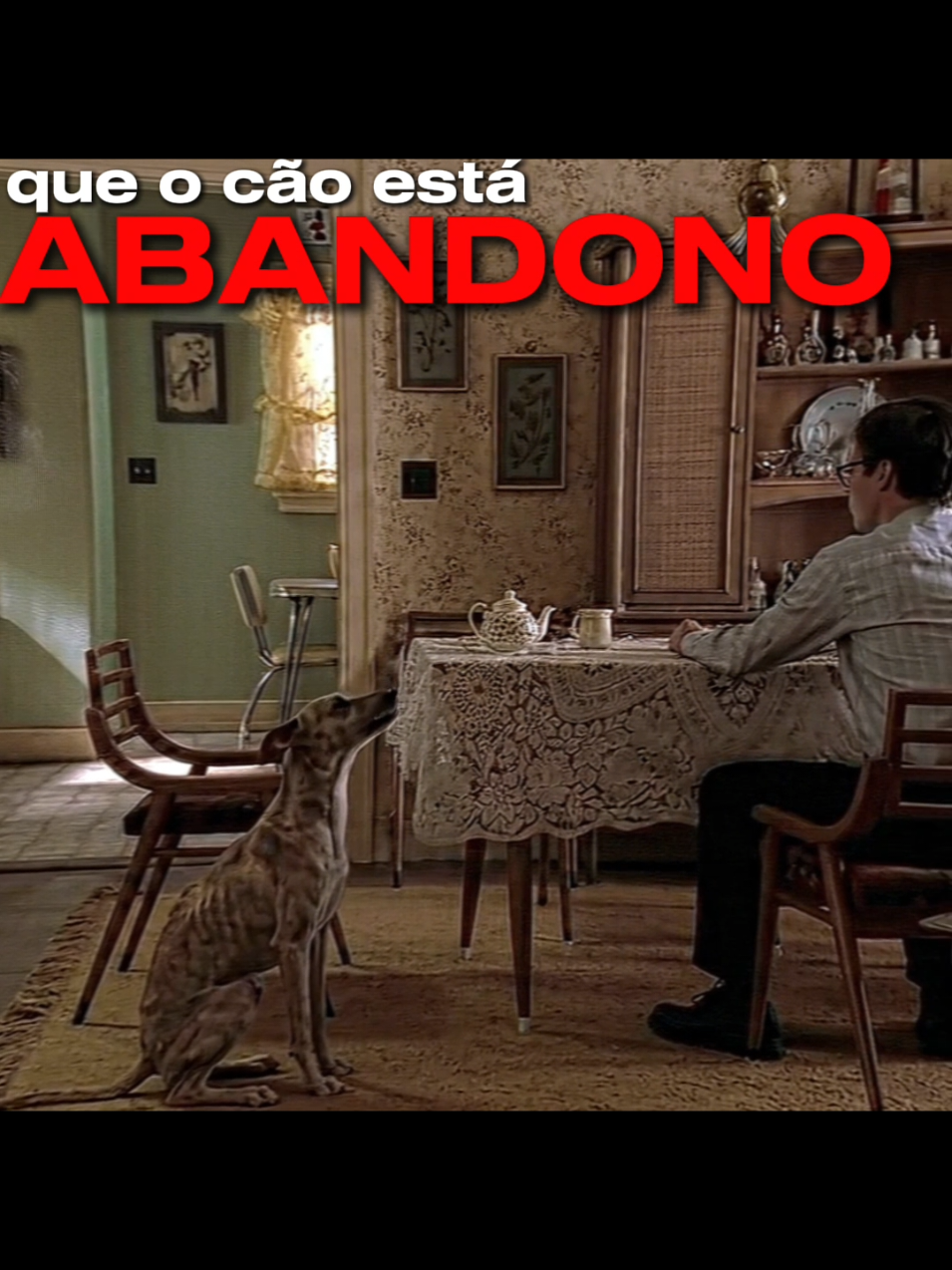 @marselo