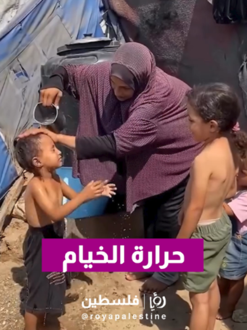 @Royapalestine رؤيا فلسطين