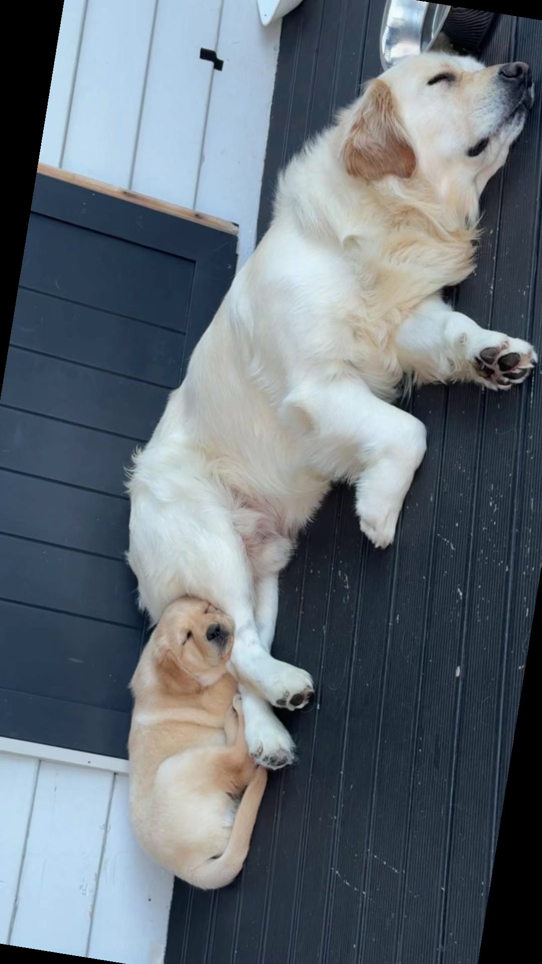 @fjnkuri 🧑&zwj;🧑&zwj;🧒&zwj;🧒🐾💝