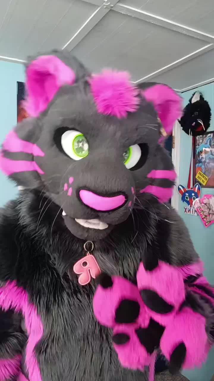 @dingbat 🐾 mew,mew 🐾 🔜 AC26