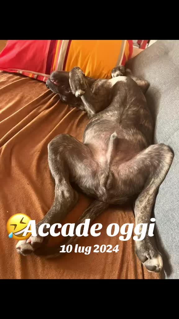 @Manumanufrau66
