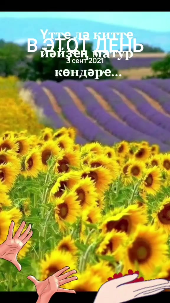 @Биби