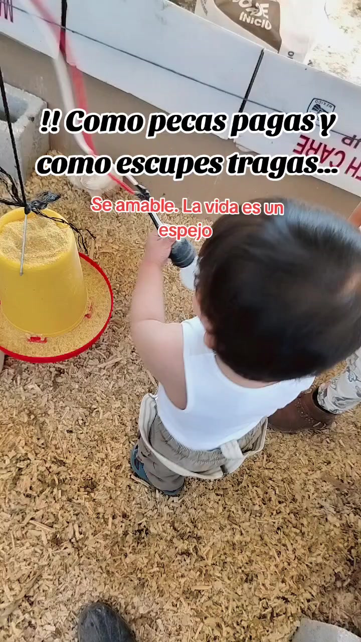 @ElyAlonzo