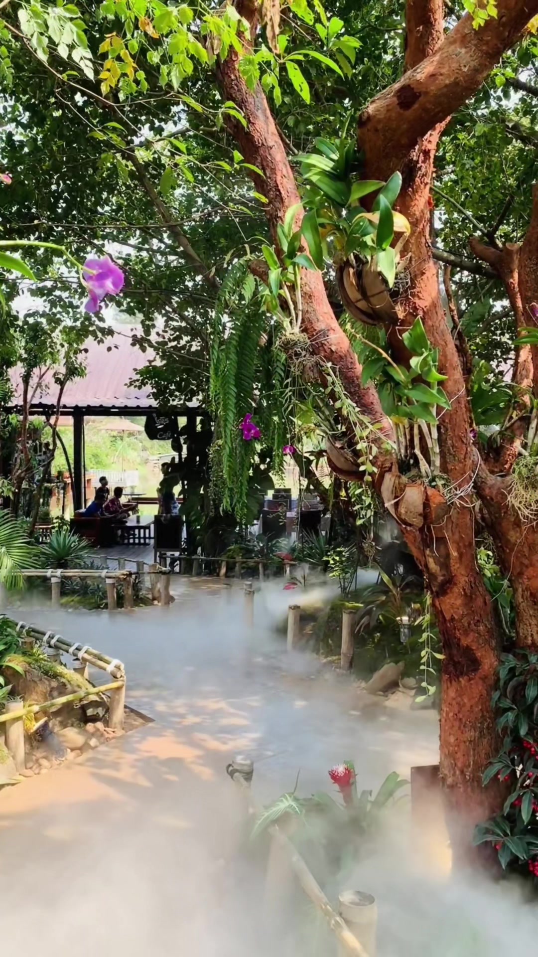 @Ming Tian - មីង ធាន
