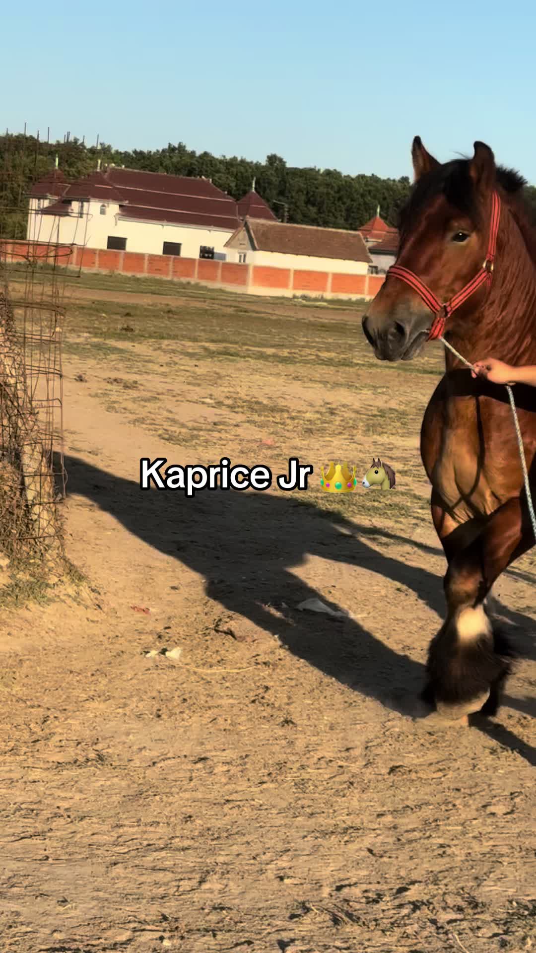 @🐴Spartanu🐴