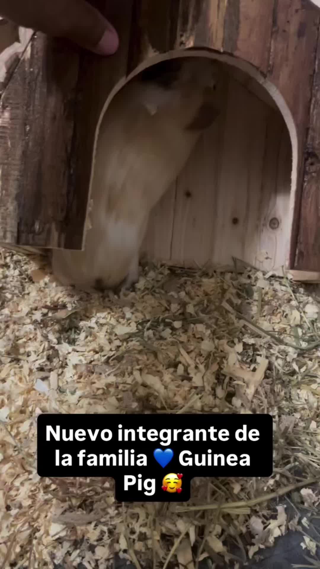 @SandritaSM ❤️