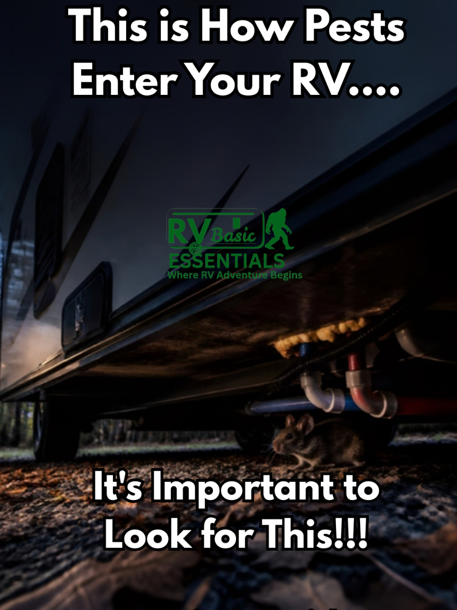 @RV Basic Essentials
