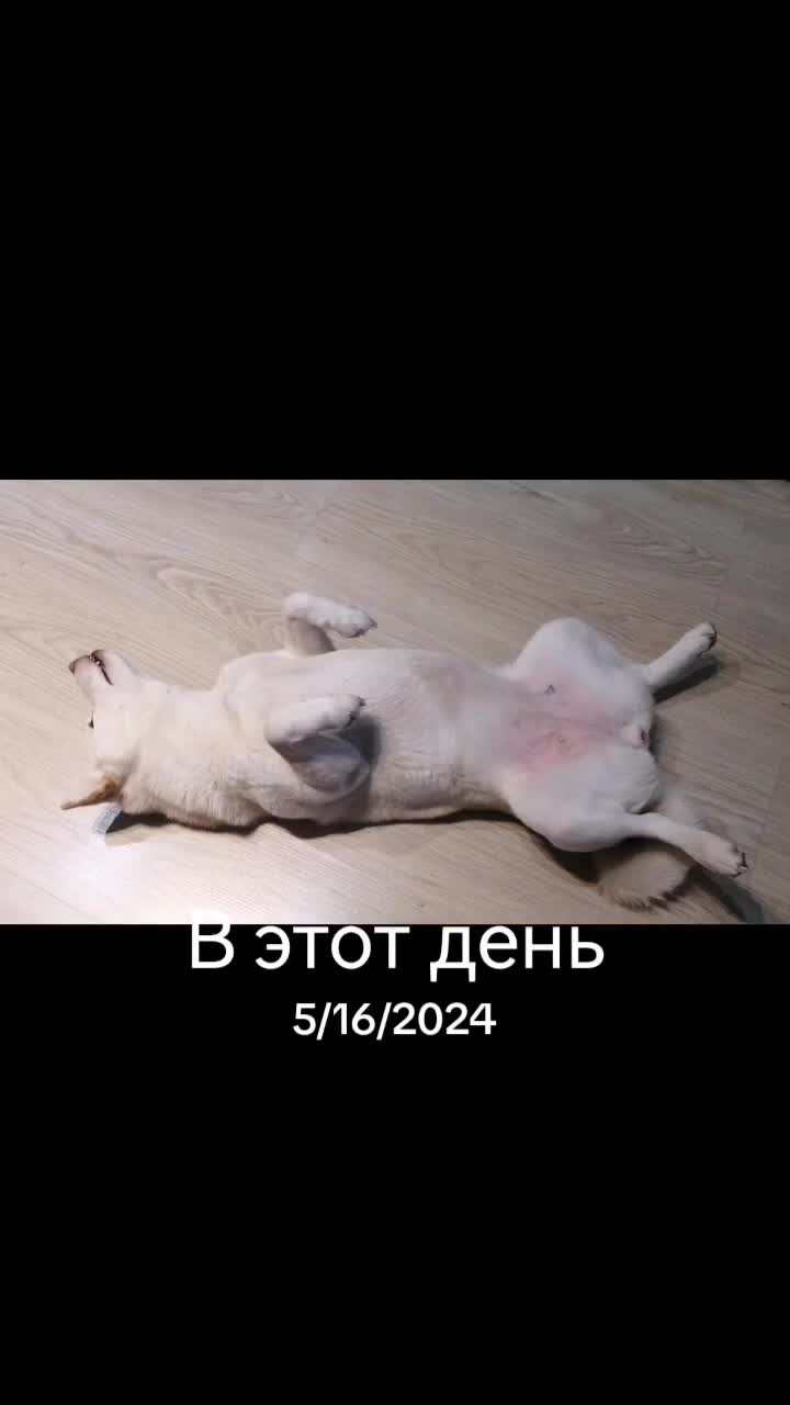 @Вера Калинина