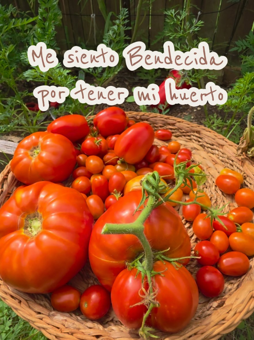 @Mi Rincón Favorito