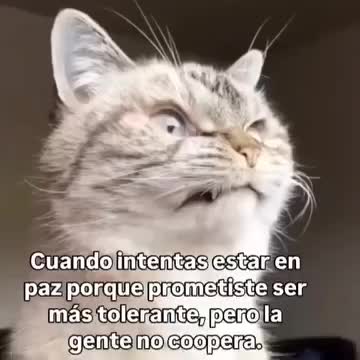 @Joana_LoTR