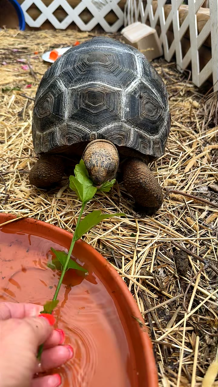 @Kelly Jo Sloan - Sloan Exotics