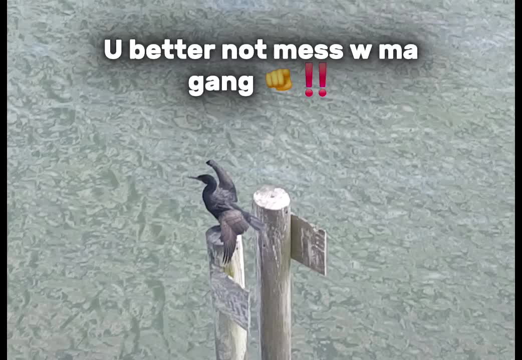 @gracelaw14
