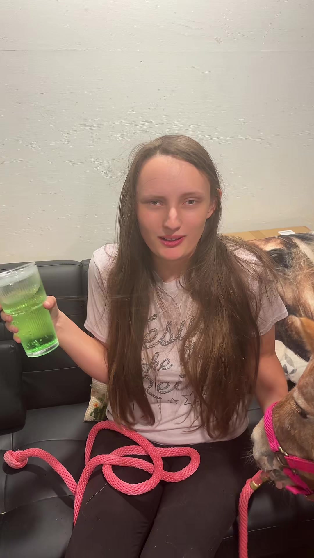 @itiswellstables