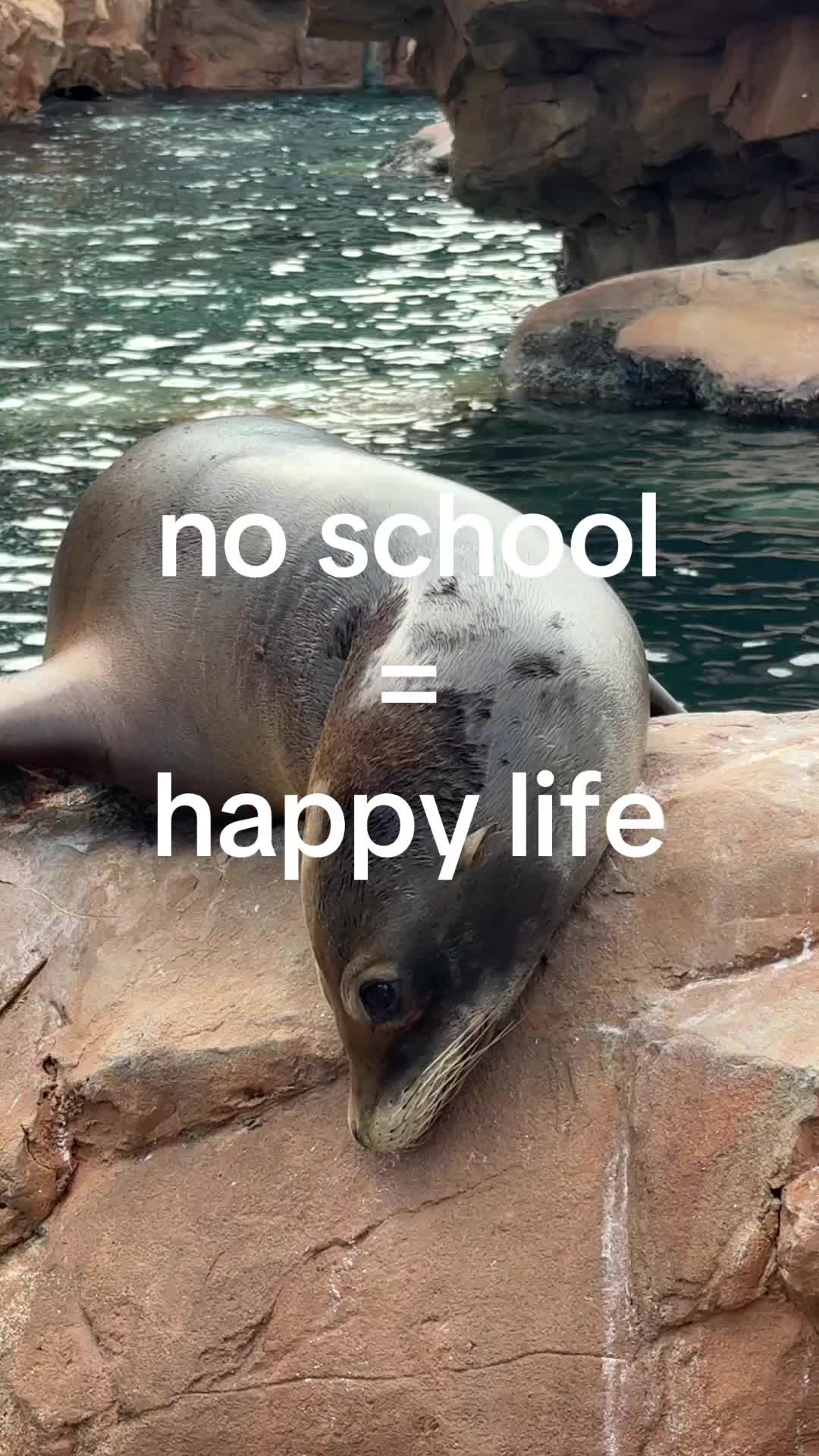 @ⒿⒶⒸⓄⒷ