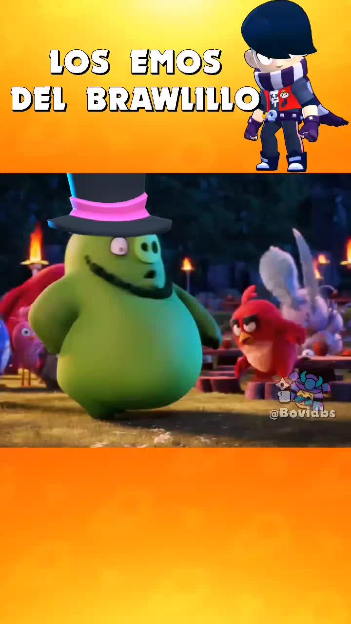 @bovidbs