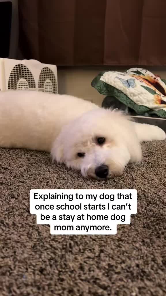 @Enzo the Dood