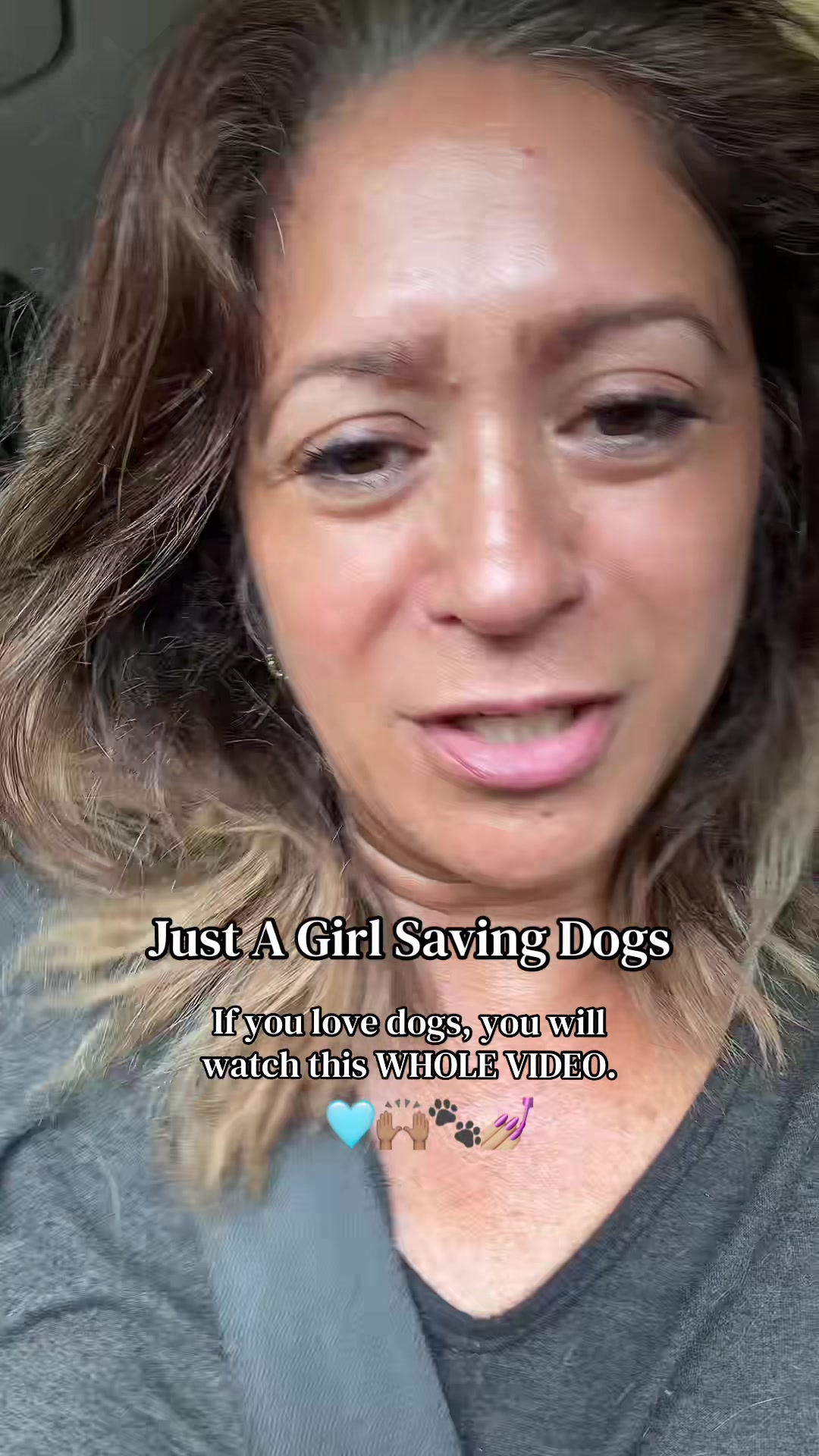@Just A Girl Saving Dogs