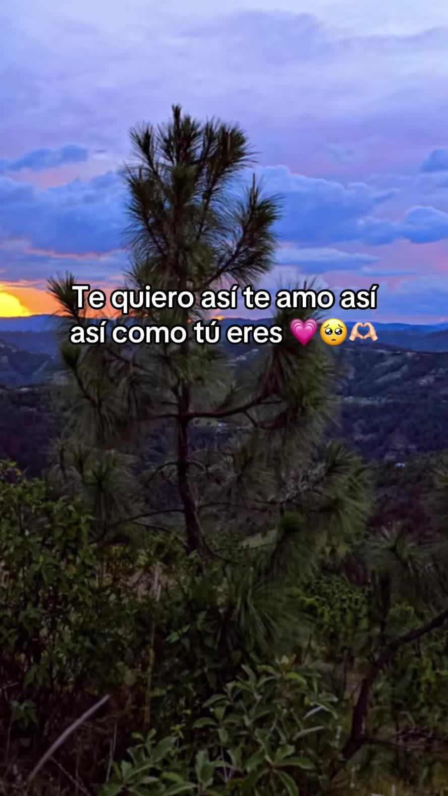 @kanil370 ๐ง