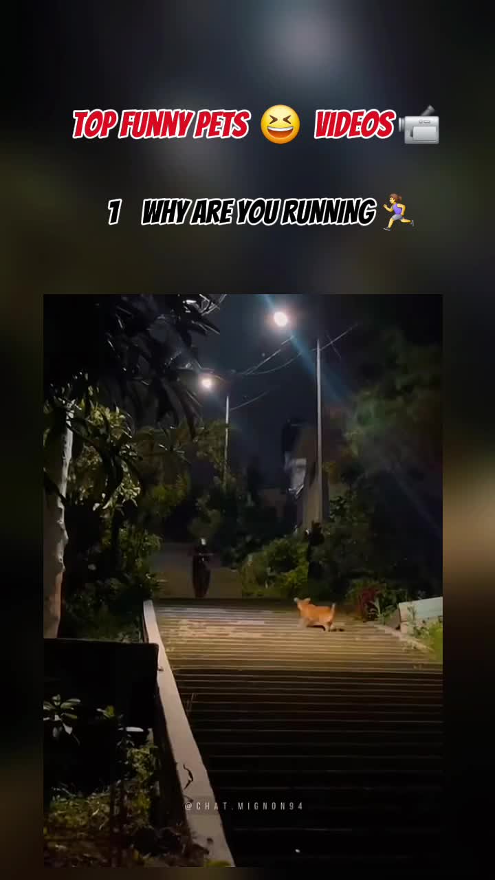 @Chillszone🤣