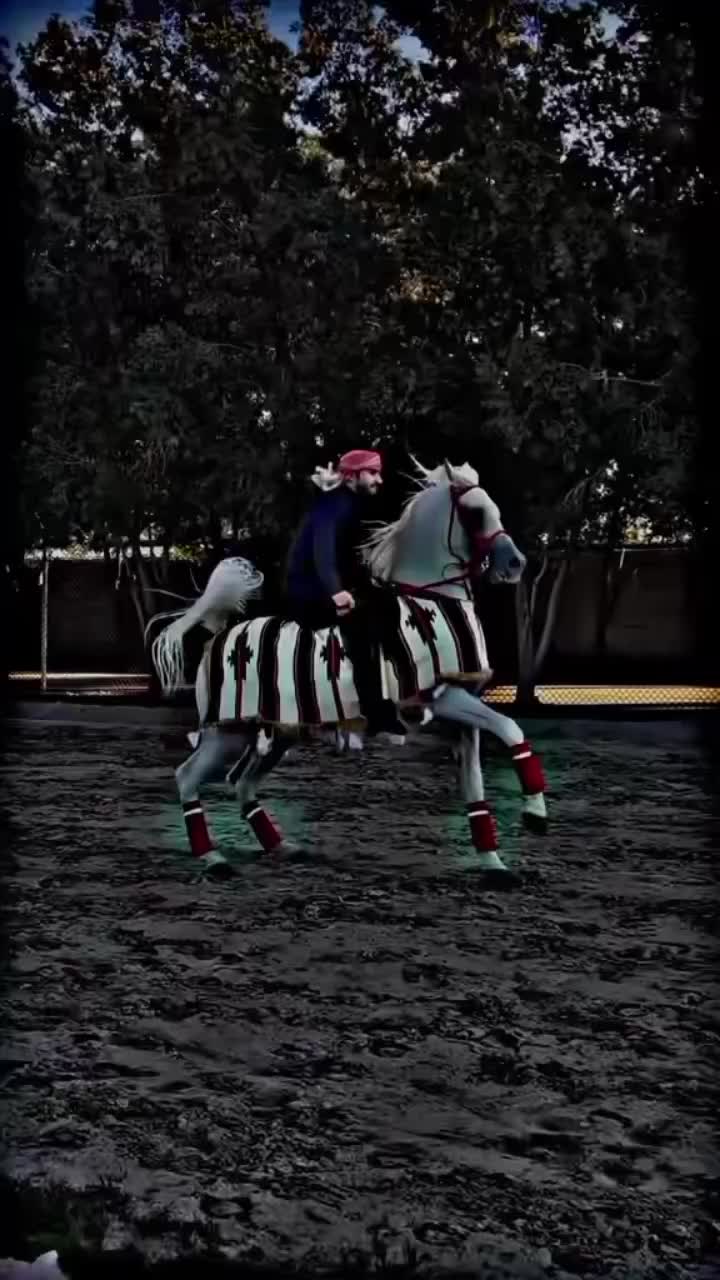 @⫸𝙈𝙞𝙍𝙯𝘼✫𝙎𝙖𝙍𝙆𝙖𝙍✫⫷