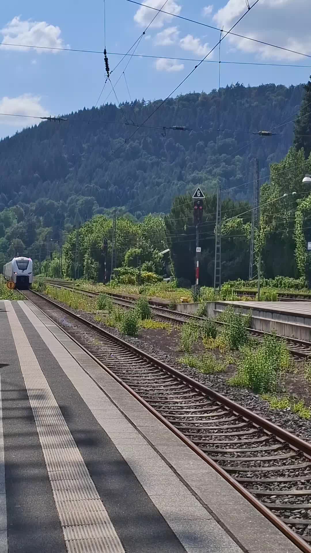 @Trainspotterin2026