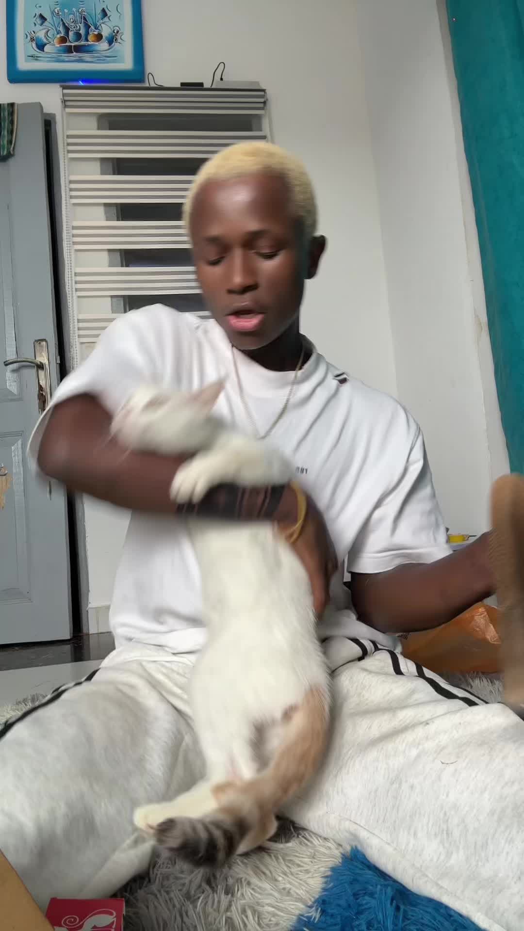 @N a k a m u r a 🐈
