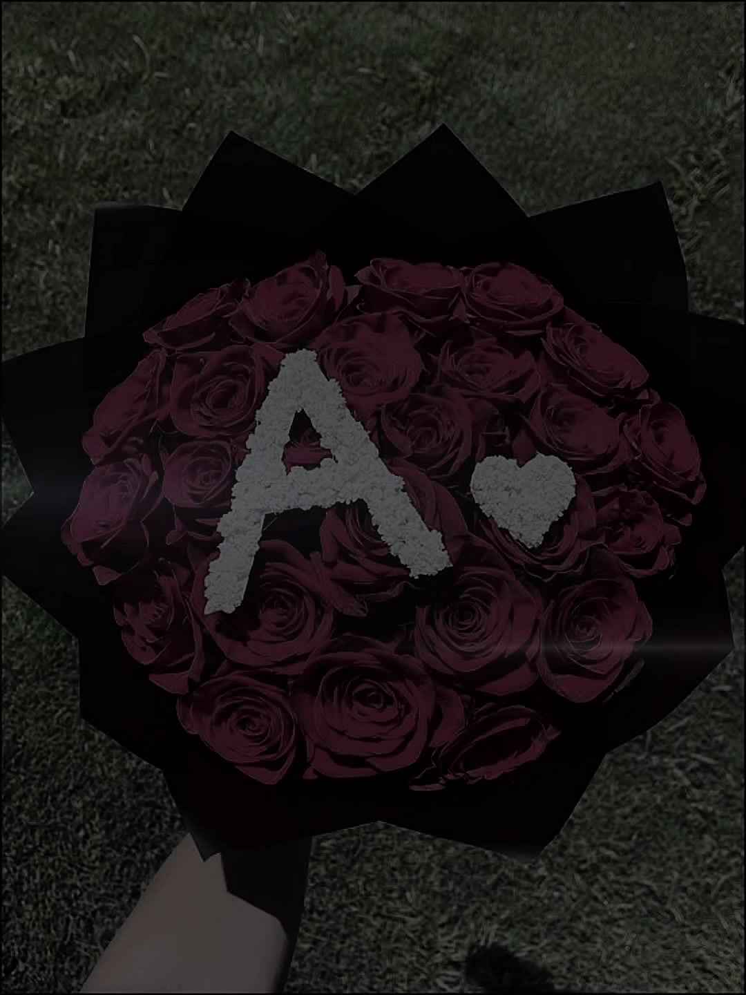 @𝙳𝚊𝚛𝚔 𝚋𝚘𝚢👻