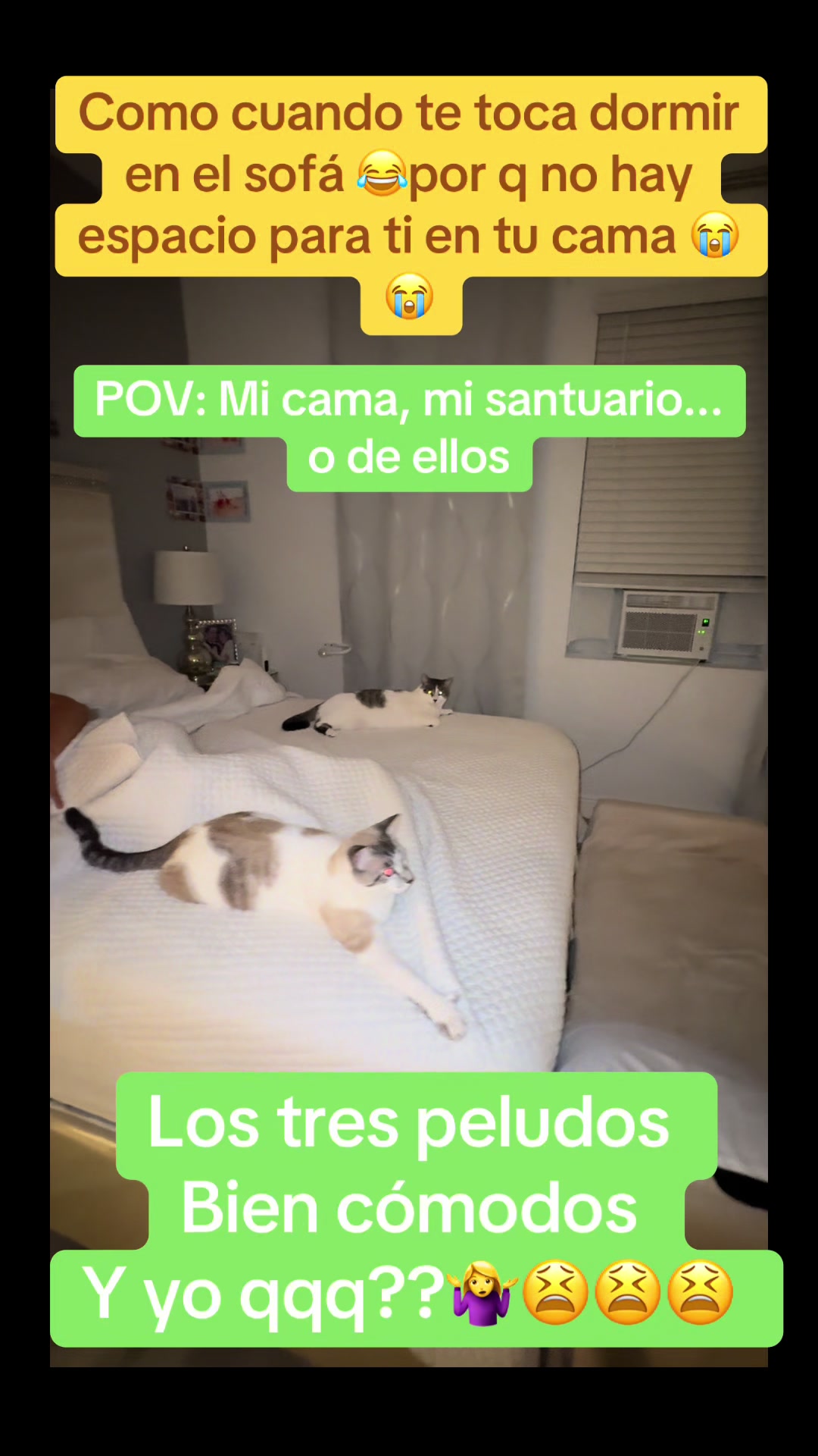 @Damaris