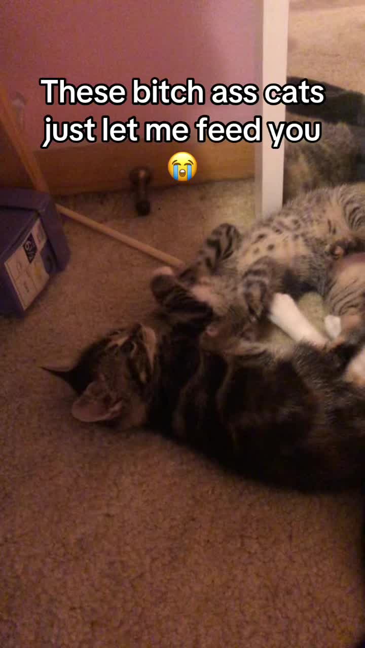 @rigzlol0