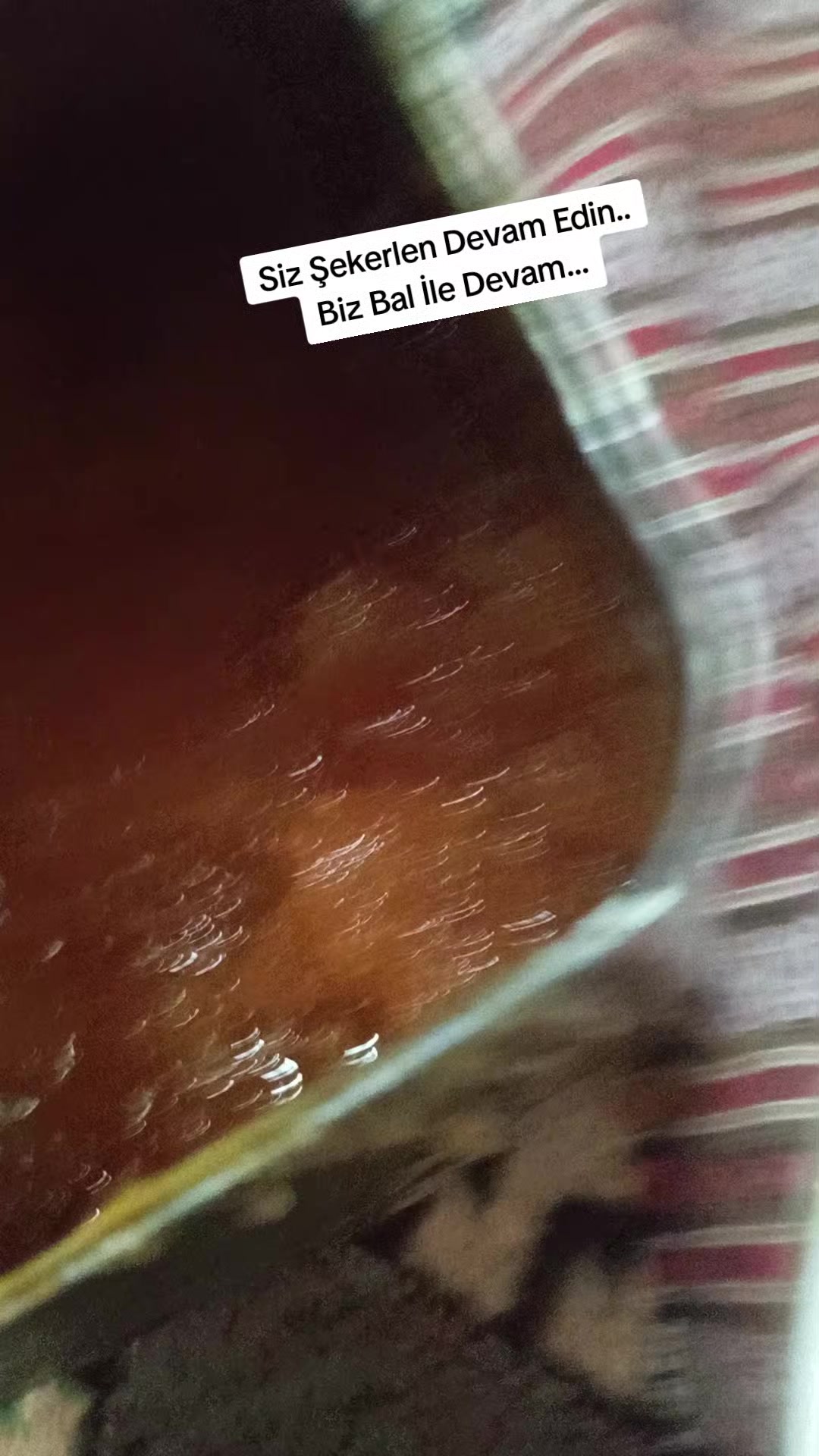@🐝ÖZ BEYDİLLİ - ARICILIK🍯