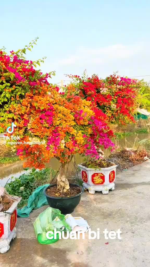 @Lâm3547