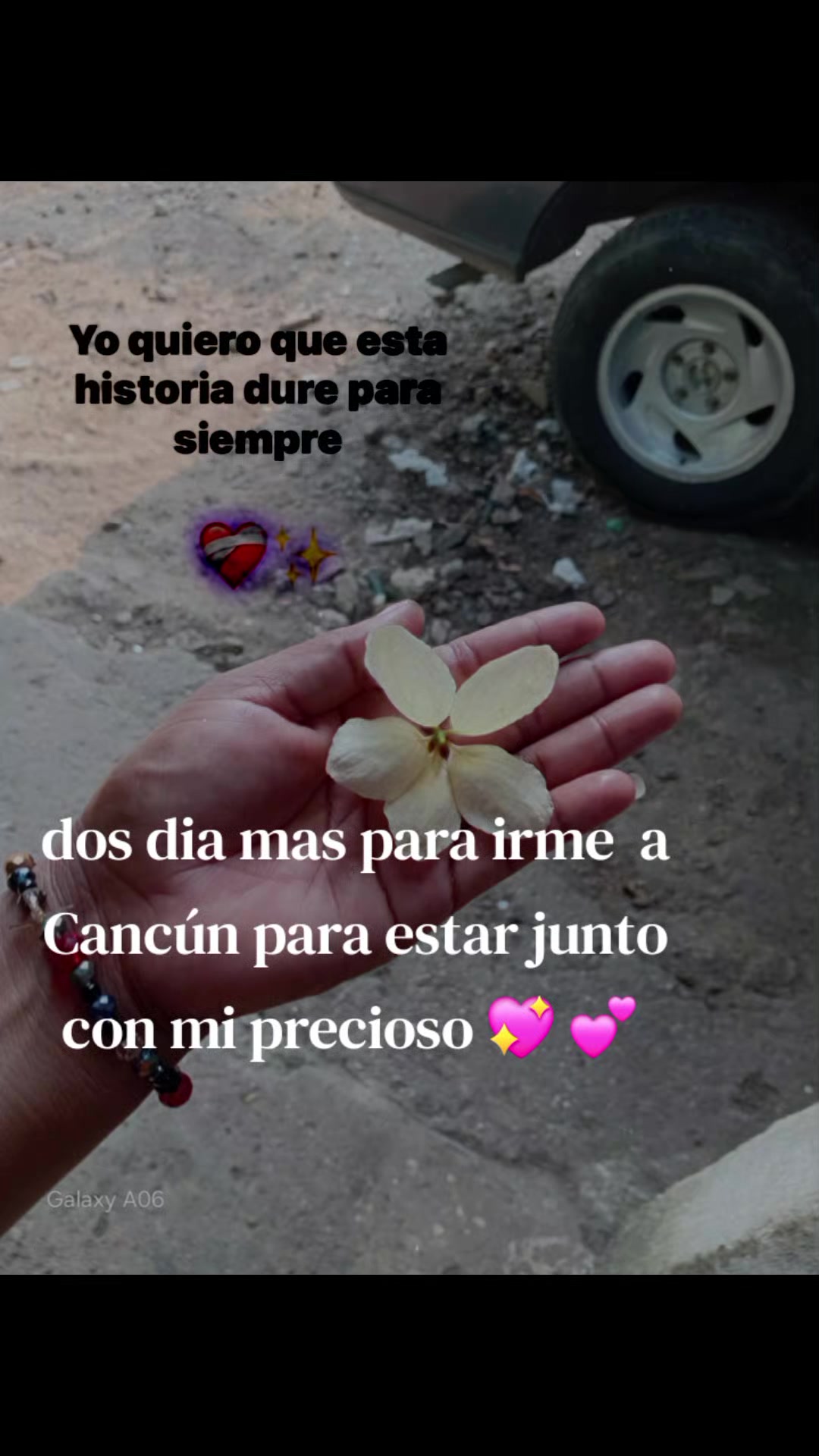 @jarochita ❤️❤️🫀🧠
