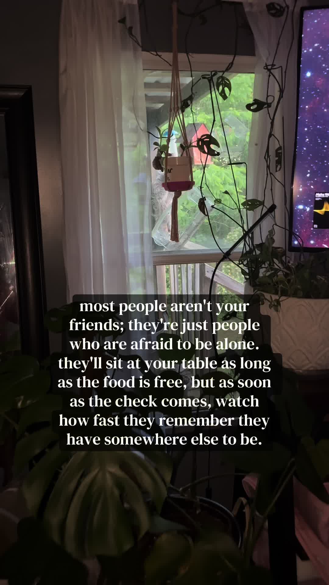 @sіძ ☮︎︎