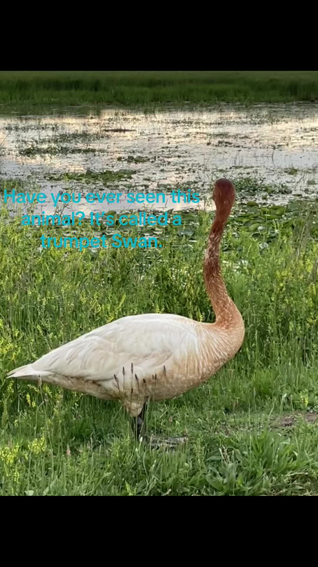 @Jaxs_Bubby_1031
