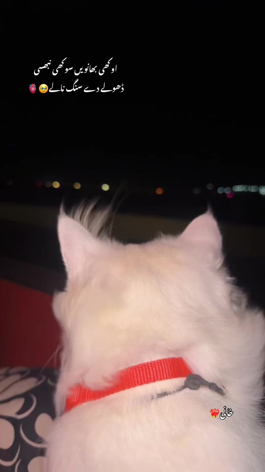 @خانی❤️🔥