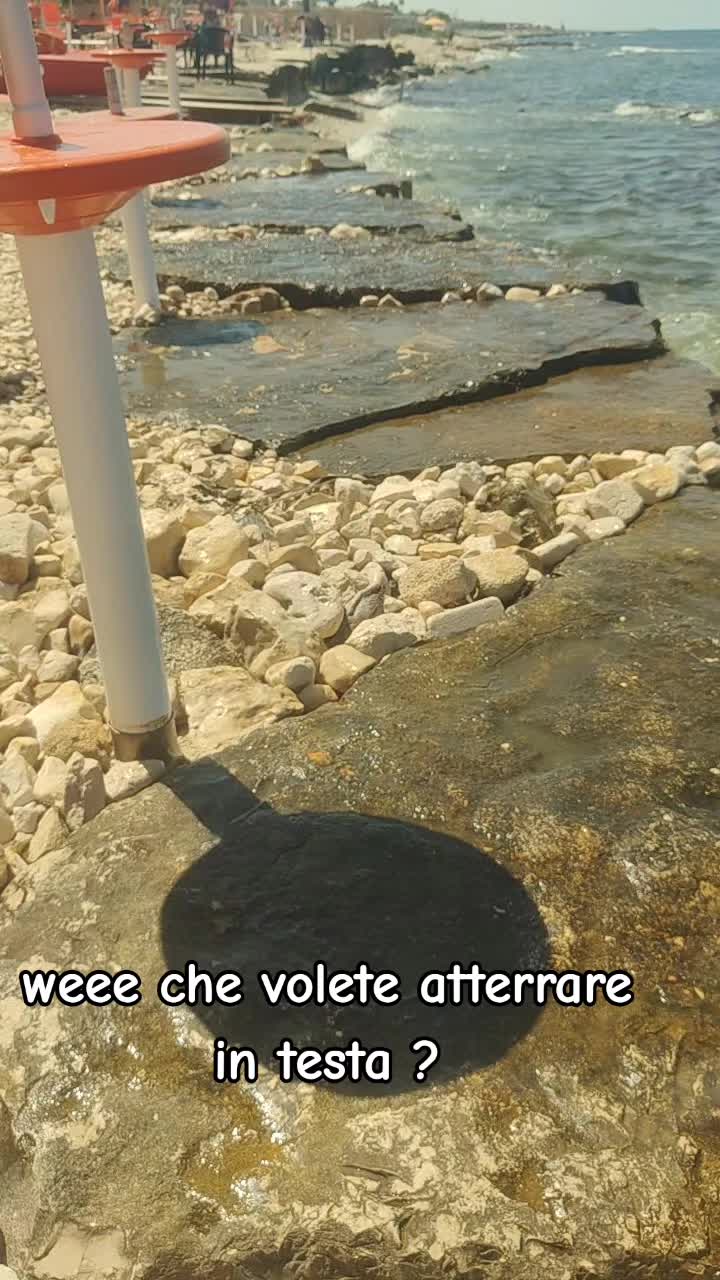 @lory roma