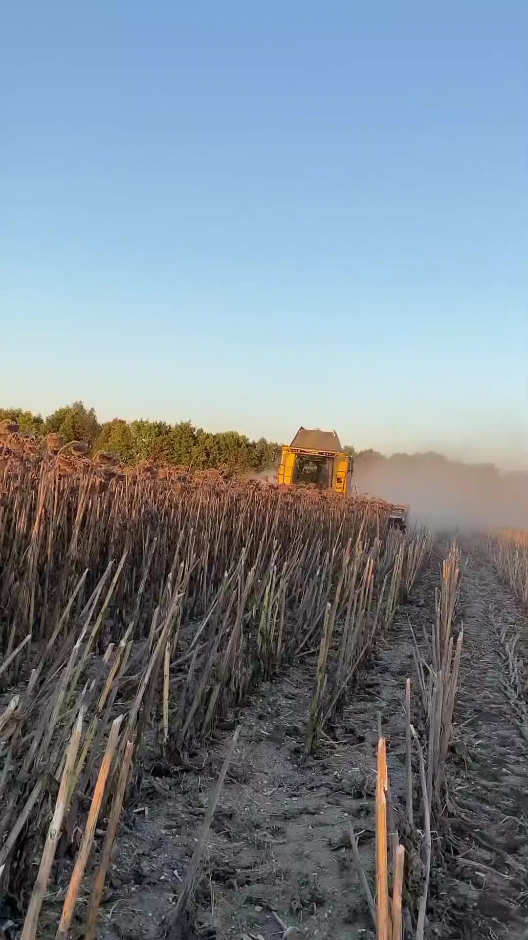 @🇺🇦🌾Agriculture🌾🇺🇦