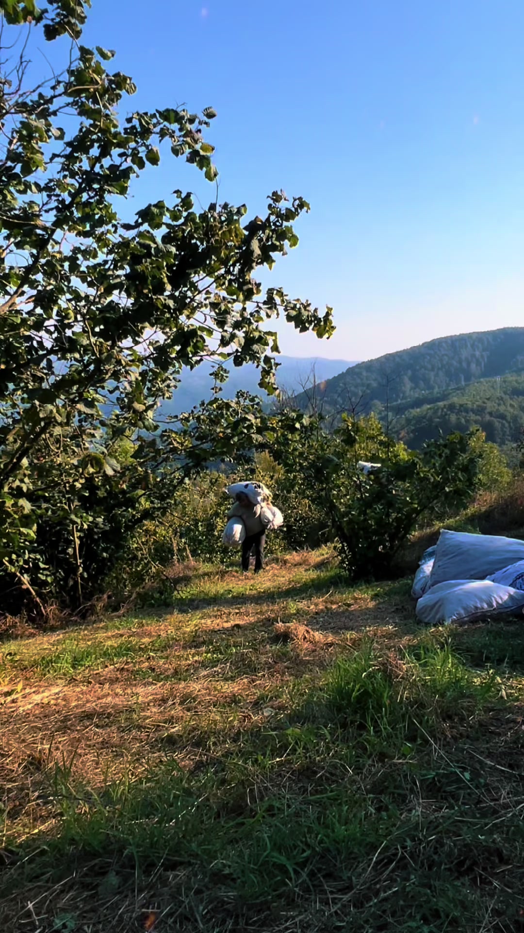 @sezgin kuşcu